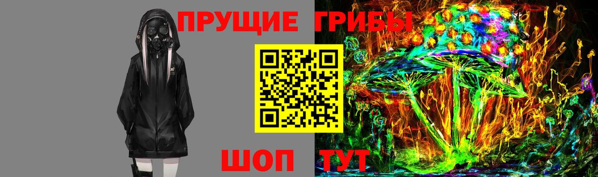 Мариинск  Псилоцибиновые грибы ЛСД  Вход с VPN 